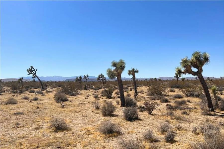 2814 Yucca Mesa, Yucca Valley, CA 92284