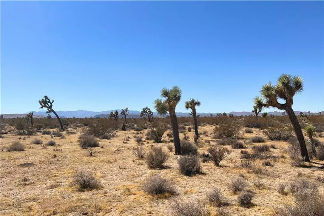 Yucca Valley, CA 92284,2814 Yucca Mesa