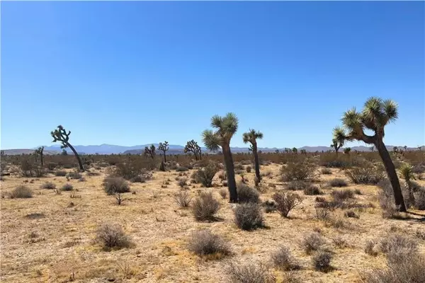 2814 Yucca Mesa, Yucca Valley, CA 92284