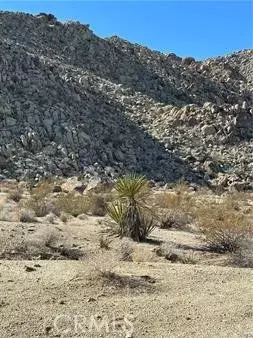 29 Palms, CA 92277,0 Jackass
