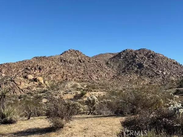 Joshua Tree, CA 92252,7085 Alturas