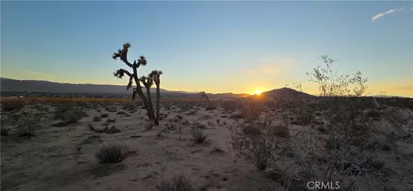 2 Belmont, Joshua Tree, CA 92252