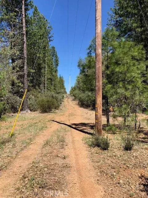 Loch Lomond, CA 95461,6736 Harrington Flat