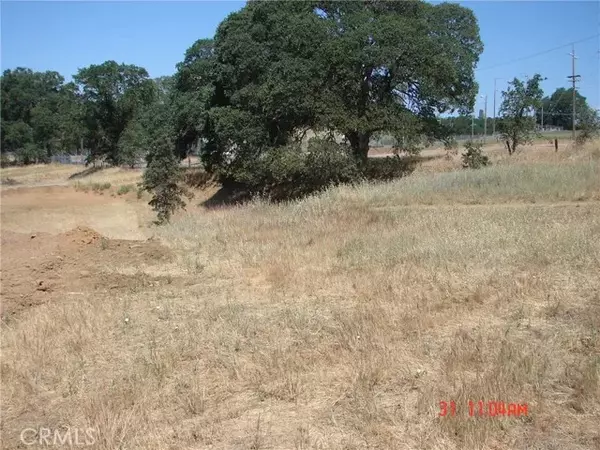 Lower Lake, CA 95457,9560 Highway 29