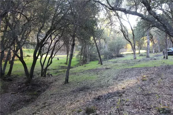 Clearlake, CA 95422,6157 Armijo