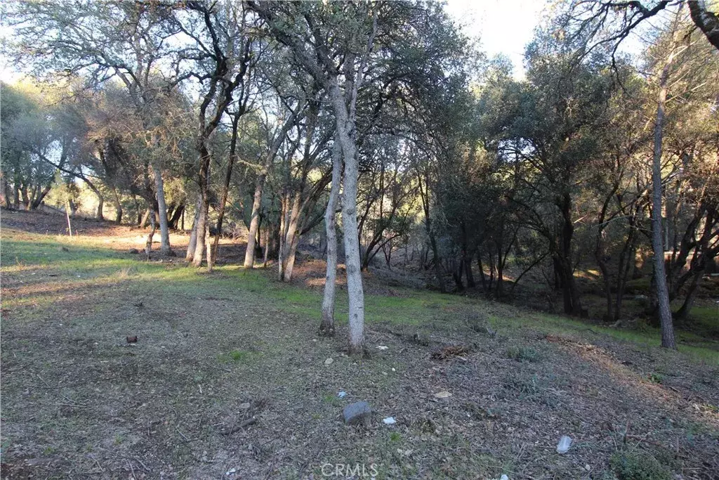 Clearlake, CA 95422,6157 Armijo