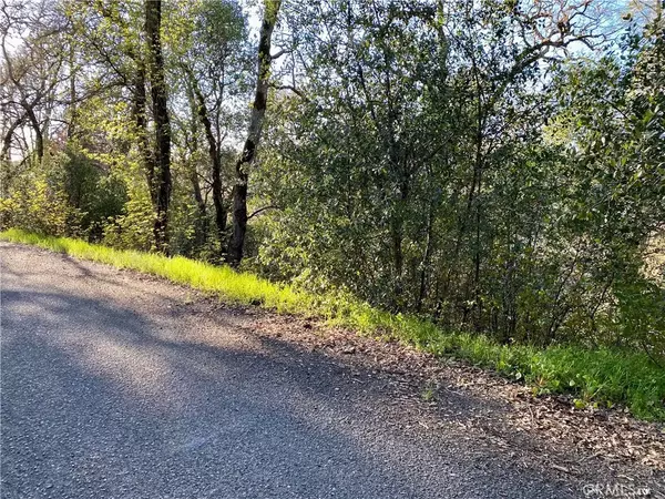 Nice, CA 95464,7007 Black Oak