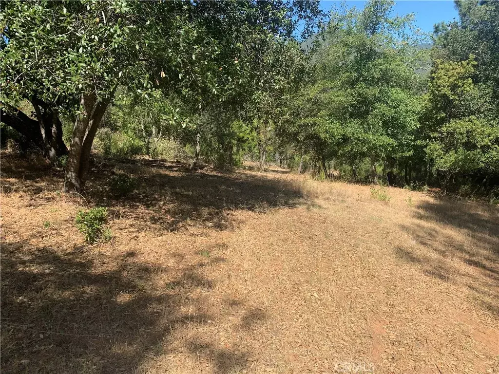 Kelseyville, CA 95451,9980 Point Lakeview