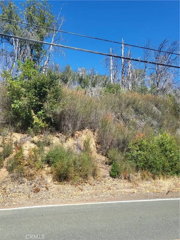 Loch Lomond, CA 95461,11030 Loch Lomond