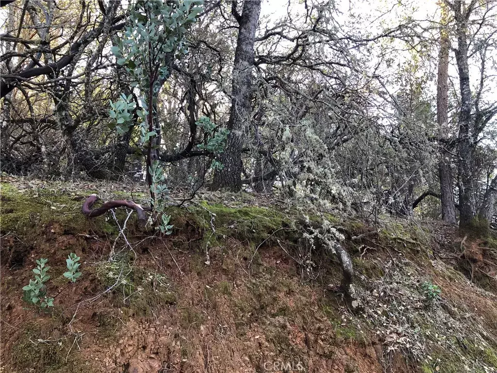 Nice, CA 95464,7102 Marin