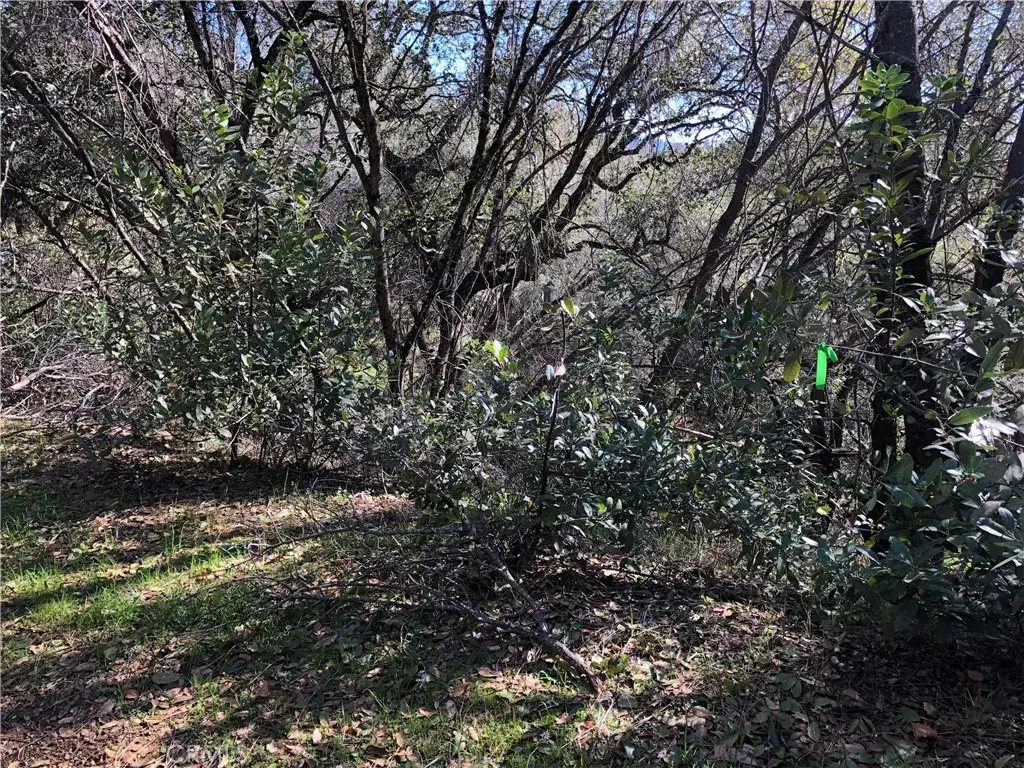 Nice, CA 95464,7289 Tehama