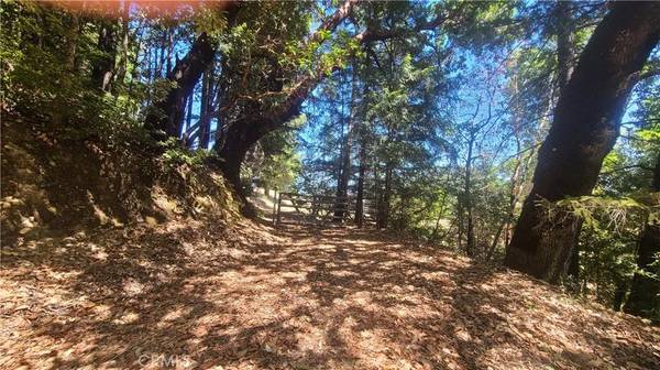 Outside Area (inside Ca), CA 95560,1630 Perry Meadow