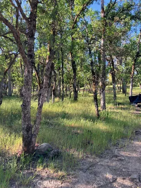 Clearlake, CA 95422,16073 13th