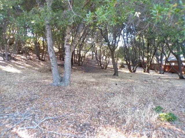 10743 Boren Bega, Kelseyville, CA 95451