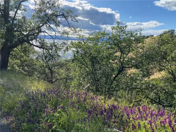Glenhaven, CA 95443,7524 Bruner