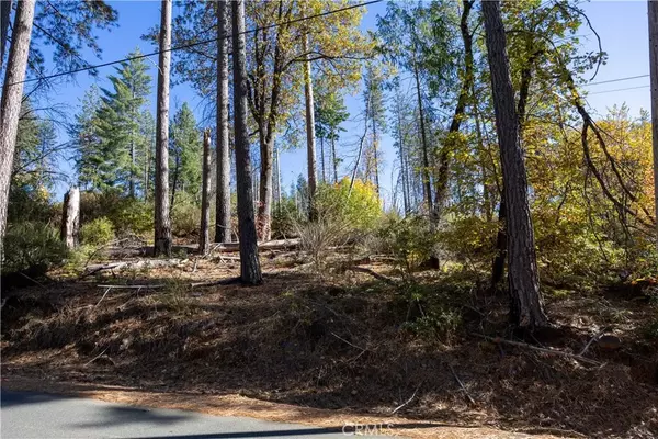 Cobb, CA 95426,10991 Gifford Springs