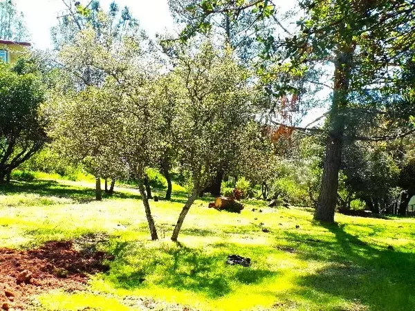 Kelseyville, CA 95451,11083 Wheeler