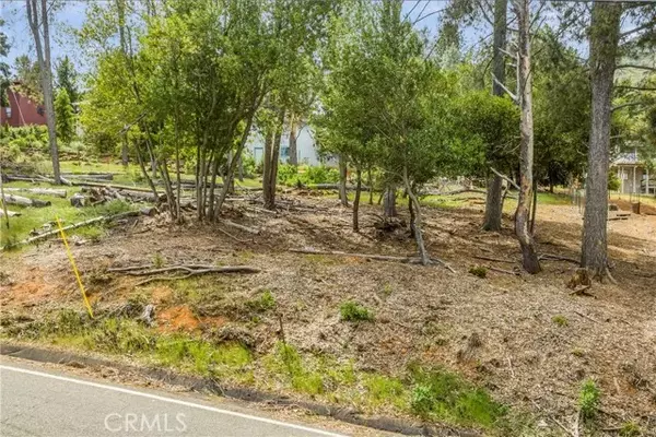 Kelseyville, CA 95451,3511 Knob Cone