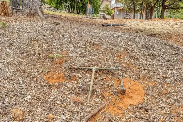 Kelseyville, CA 95451,3511 Knob Cone