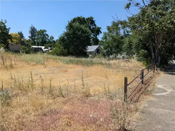 Lakeport, CA 95453,455 N Forbes