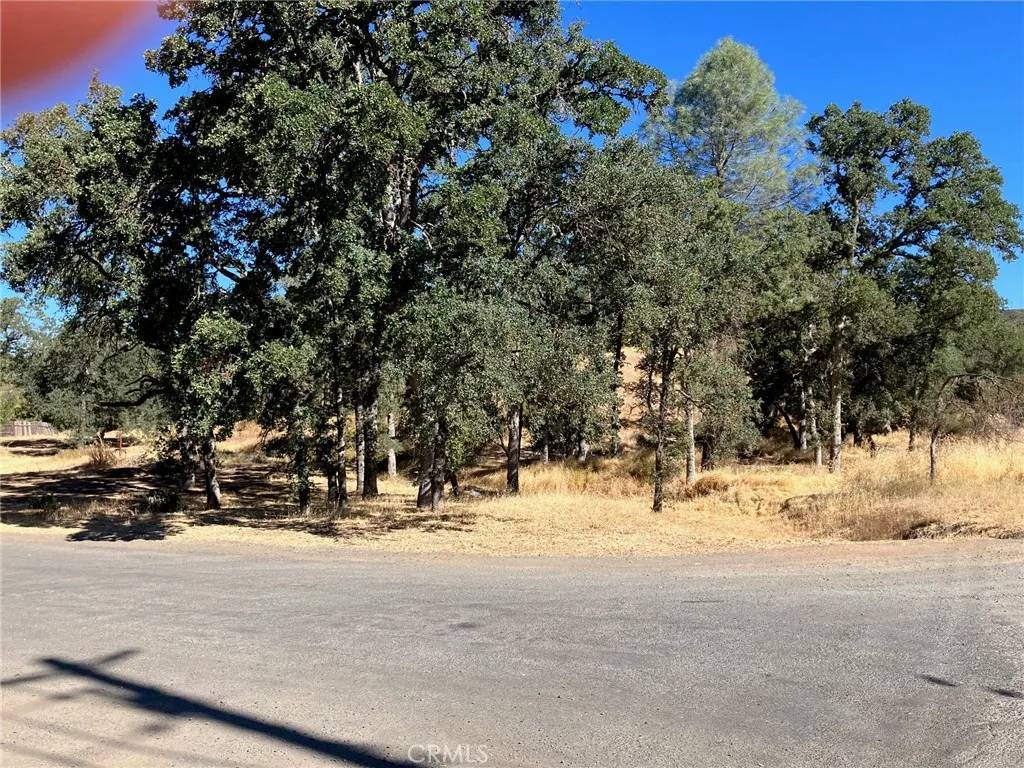 Clearlake, CA 95422,16108 36th