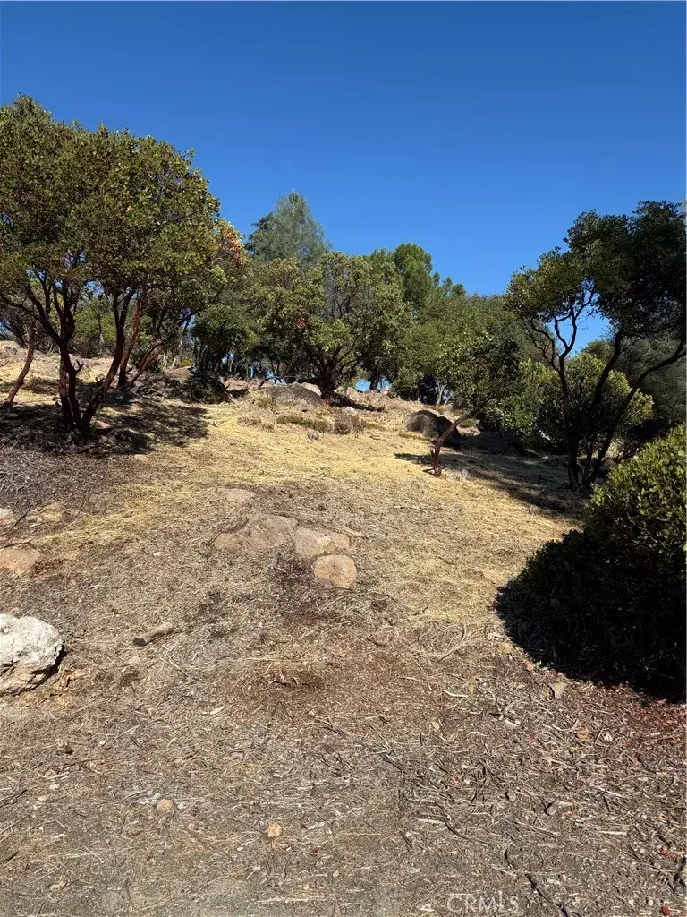 Kelseyville, CA 95451,5238 Tewa