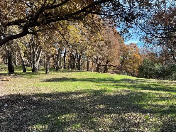 Clearlake, CA 95422,6060 Old Highway 53