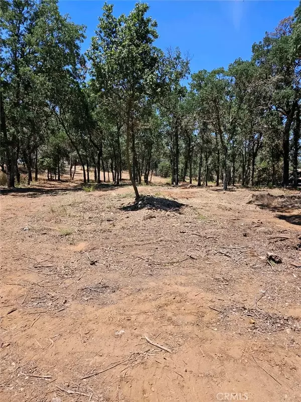 Clearlake, CA 95422,16288 12th