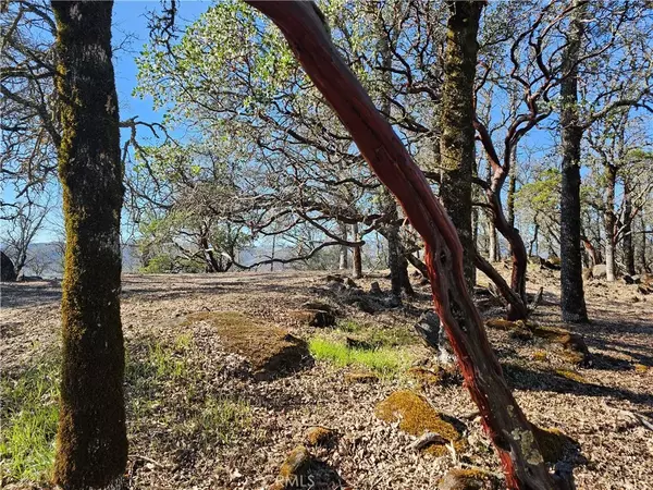 Hidden Valley Lake, CA 95467,17934 Moon Hill