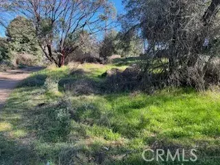 Clearlake, CA 95422,14212 Woodland