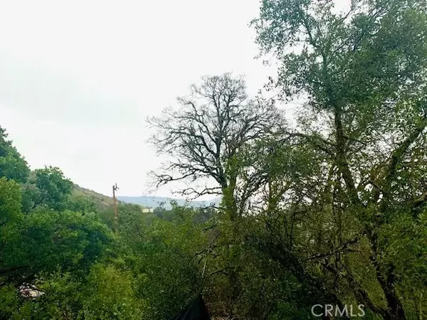 Nice, CA 95464,3010 California