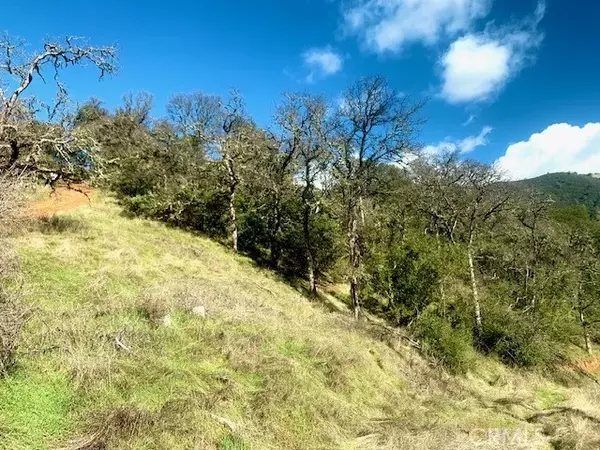 Nice, CA 95464,7689 Main