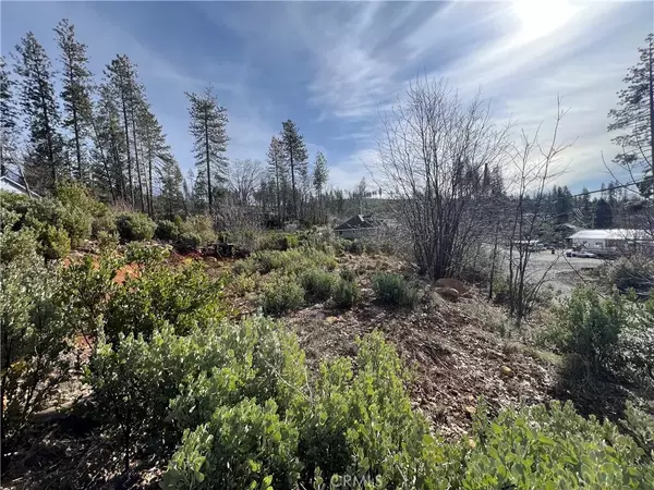 Cobb, CA 95426,16070 Pine