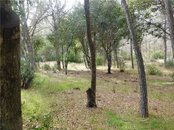 Clearlake, CA 95422,5834 Spruce