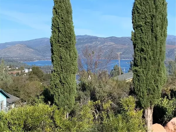 Kelseyville, CA 95451,9768 Marmot Way