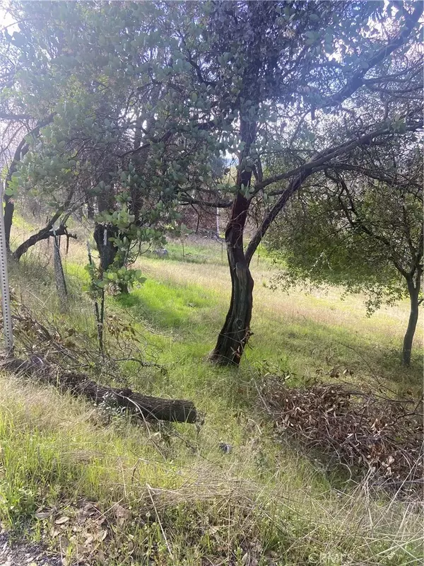 Nice, CA 95464,7005 Marin