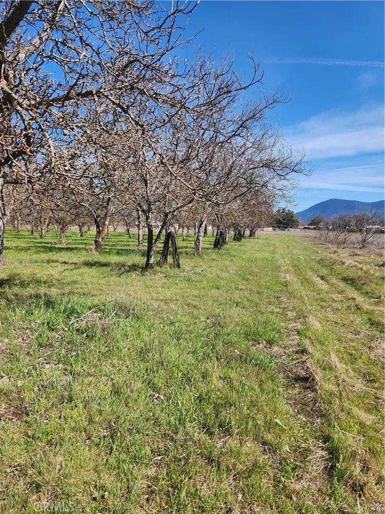 Lakeport, CA 95453,1665 Big Valley