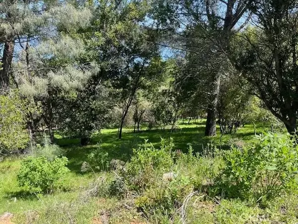 Kelseyville, CA 95451,8444 Soda Bay