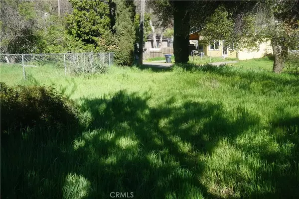 Clearlake Oaks, CA 95423,12546 Foothill