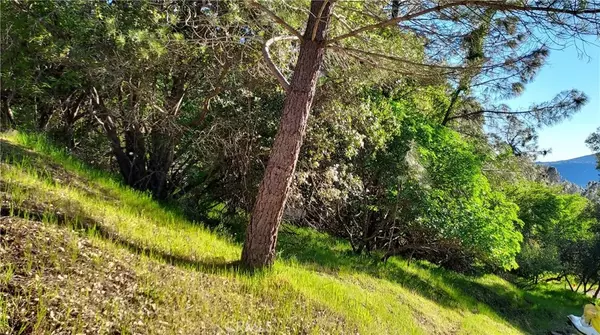 Clearlake, CA 95424,2891 San Joaquin