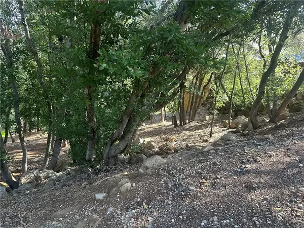 Kelseyville, CA 95451,3470 Shoreline View