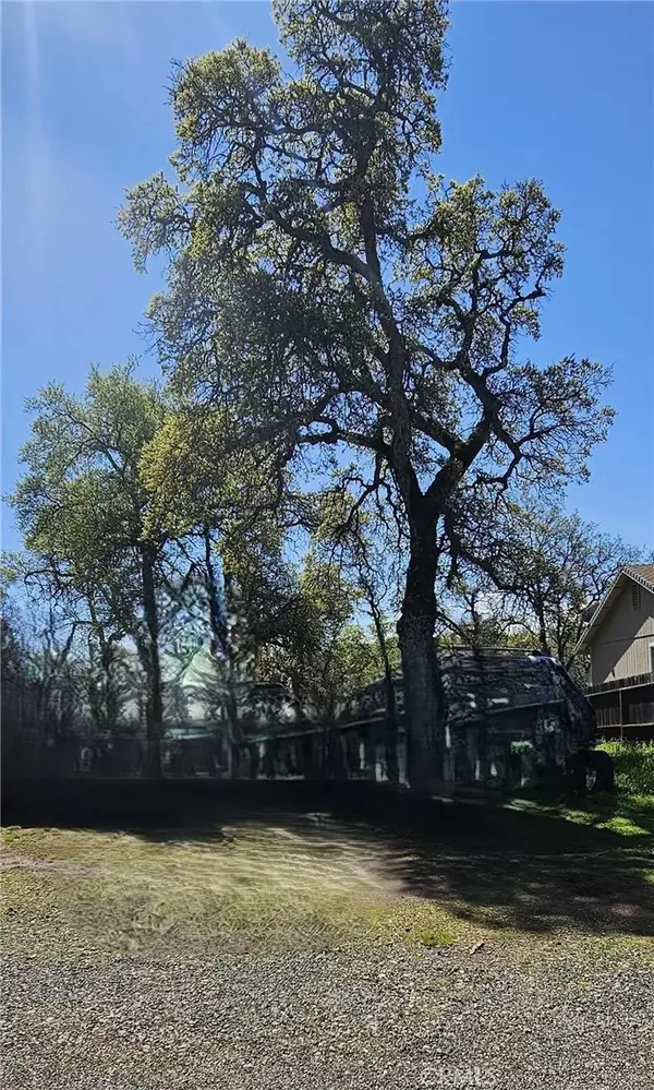 Clearlake, CA 95422,16163 24th