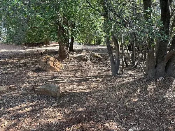 Kelseyville, CA 95451,8310 Mountain Crest