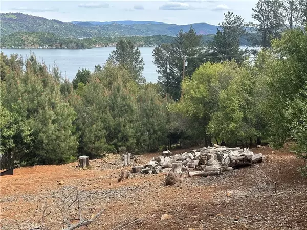 Kelseyville, CA 95451,3510 Knob Cone