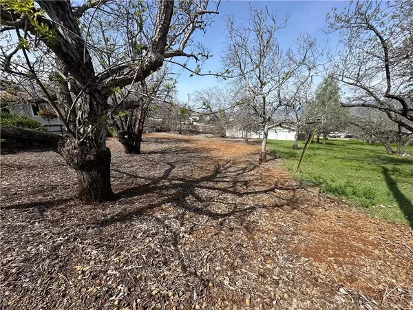 Kelseyville, CA 95451,3165 Marina View
