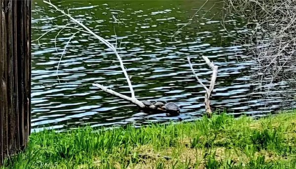 Clearlake Oaks, CA 95423,13488 Marina Village