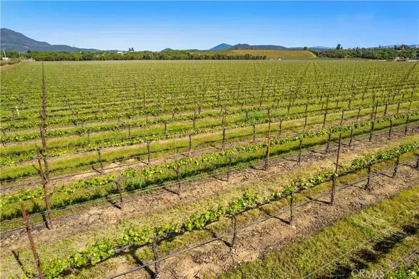 Kelseyville, CA 95451,1650 Bell Hill