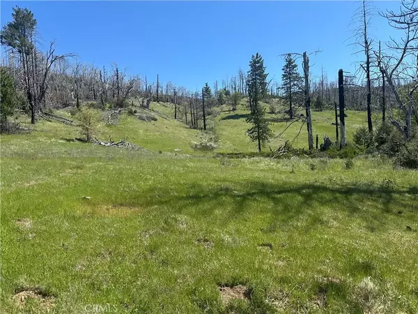 Lucerne, CA 95458,8191 Deer Valley