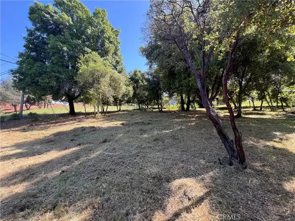 Kelseyville, CA 95451,9539 Fairway