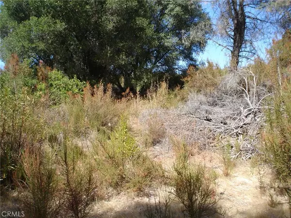 Clearlake, CA 95422,16344 4th